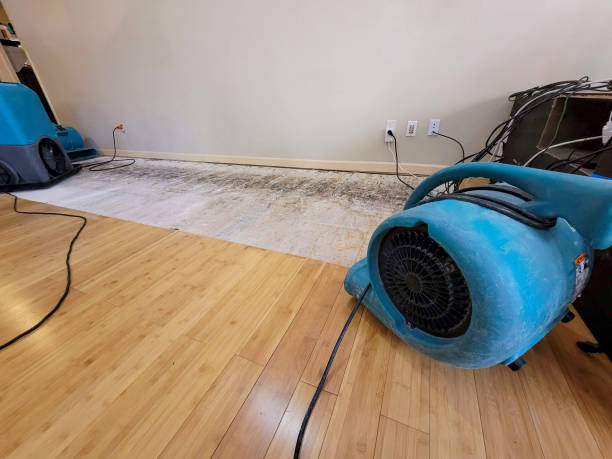 Professional Flood Damage Cleanup technician working in Atlantic, PA